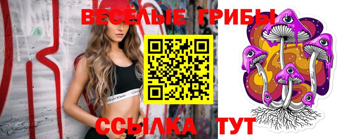Галлюциногенные грибы Psilocybe Надым